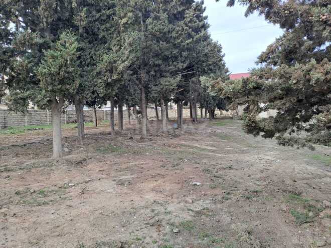 Продаётся  участок 25 сот, photo 11 from 29