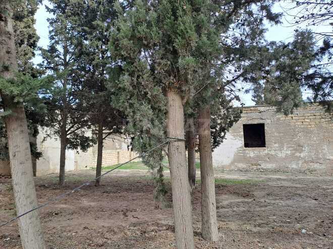 Продаётся  участок 25 сот, photo 22 from 29