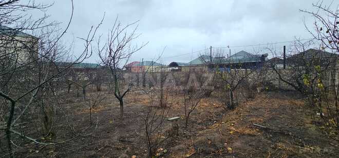Satılır  torpaq 10 sot, Savalan q., photo 3 from 8