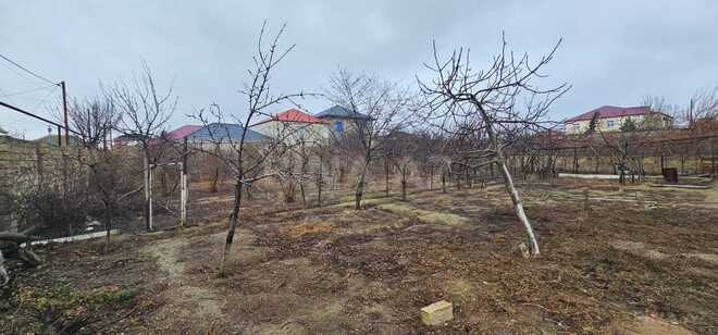 Satılır  torpaq 10 sot, Savalan q., photo 5 from 8