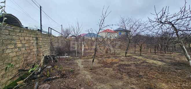 Satılır  torpaq 10 sot, Savalan q., photo 6 from 8