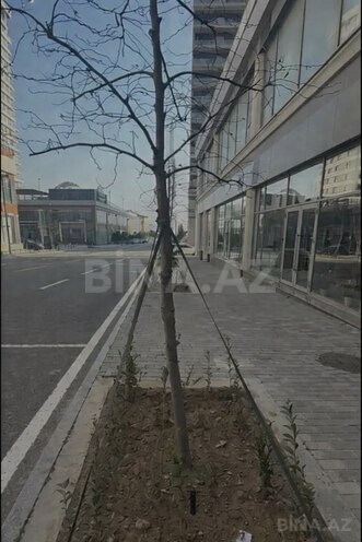 Сдаётся  объект 130 м², пос. Аг шехер, photo 6 from 7