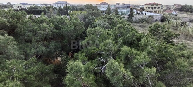 Satılır  torpaq 25 sot, Bilgəh q., photo 10 from 17