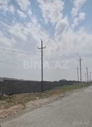 Продаётся  участок 100 сот, пос. Пута, photo 4 from 6