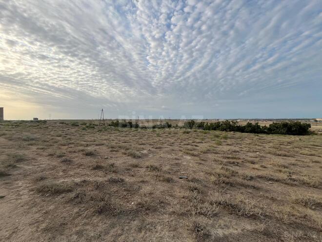 Продаётся  участок 1 000 сот, пос. Зых, photo 5 from 6