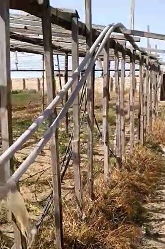 Продаётся  участок 700 сот, пос. Зире, photo 4 from 12