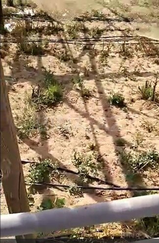 Продаётся  участок 700 сот, пос. Зире, photo 5 from 12