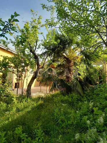 İcarəyə verilir 3 otaqlı həyət evi/bağ evi 100 m², photo 22 from 23