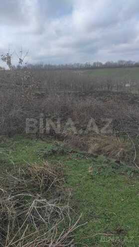 Продаётся  участок 10 сот, photo 6 from 10