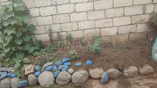 Satılır  torpaq 1 sot, photo 3 from 8