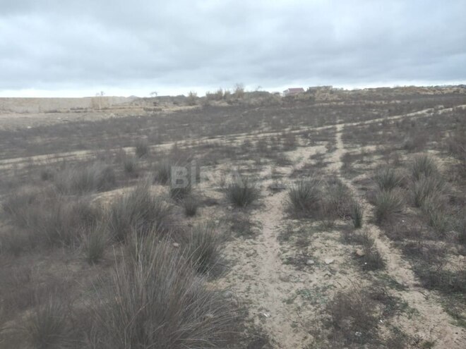 Продаётся  участок 25 сот, пос. Кюрдаханы, photo 5 from 7