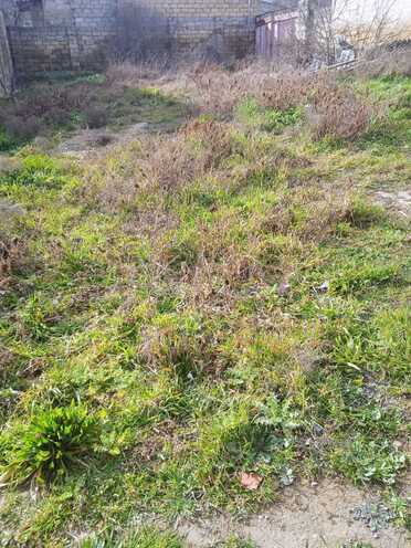 Satılır  torpaq 2.7 sot, Badamdar q., photo 8 from 10