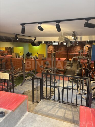 Satılır  obyekt 260 m², photo 12 from 24