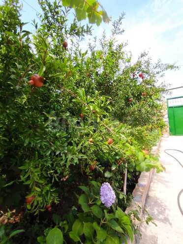 Satılır 3 otaqlı həyət evi/bağ evi 100 m², photo 11 from 32