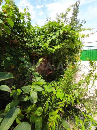 Satılır 3 otaqlı həyət evi/bağ evi 100 m², photo 9 from 32