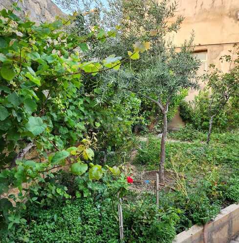 Satılır 9 otaqlı həyət evi/bağ evi 220 m², Lökbatan q., photo 19 from 22