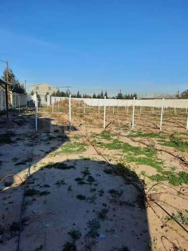 Satılır  torpaq 22 sot, Pirşağı q., photo 4 from 8