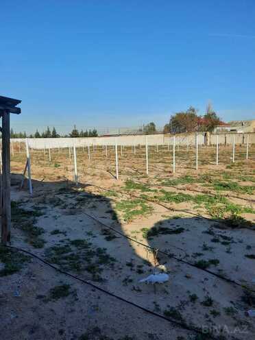 Satılır  torpaq 22 sot, Pirşağı q., photo 7 from 8