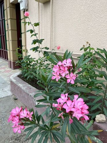 Продаётся 7-комн. дом/дача 190 м², м. Автовокзал, photo 11 from 20