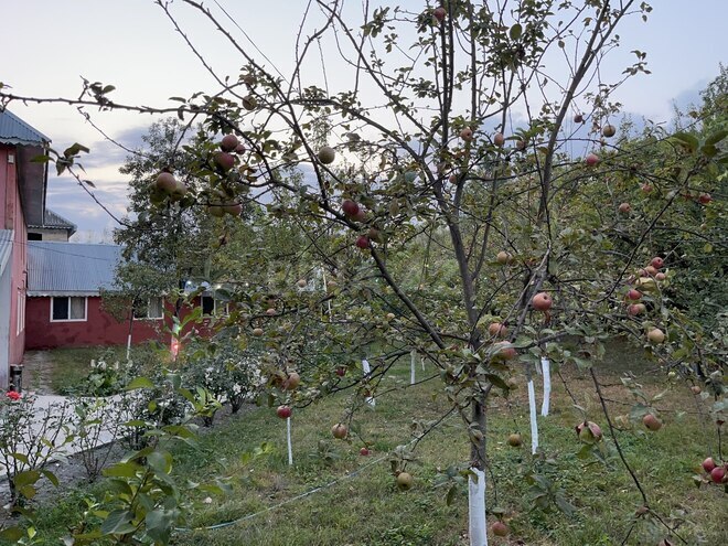 Satılır 7 otaqlı həyət evi/bağ evi 200 m², photo 16 from 32