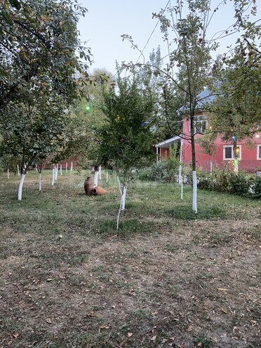 Satılır 7 otaqlı həyət evi/bağ evi 200 m², photo 12 from 32