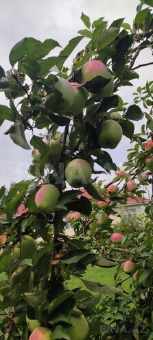 Satılır 4 otaqlı həyət evi/bağ evi 145 m², photo 30 from 32