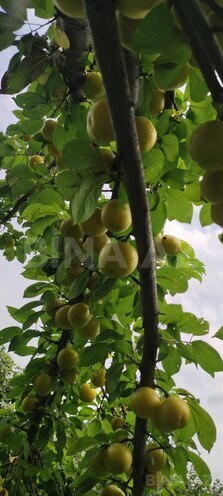 Satılır 4 otaqlı həyət evi/bağ evi 145 m², photo 27 from 32