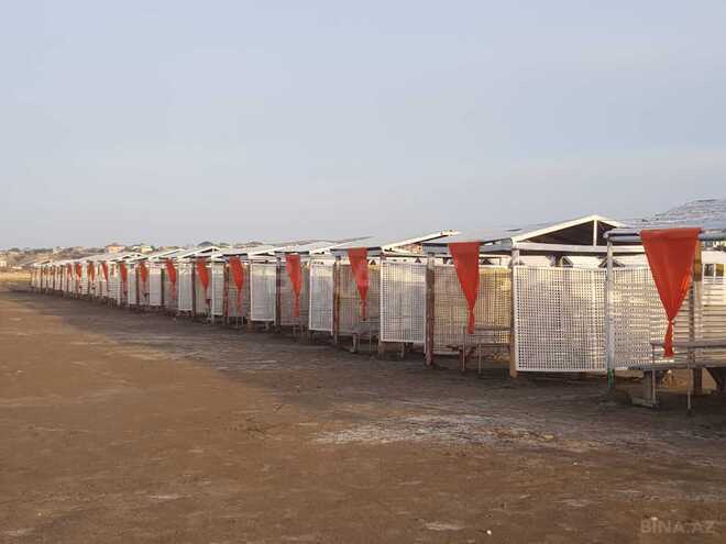 İcarəyə verilir  obyekt 20 000 m², Novxanı q., photo 17 from 24