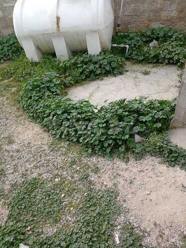 Сдаётся 2-комн. дом/дача 70 м², пос. Бина, photo 11 from 12