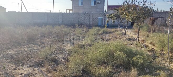 Satılır  torpaq 10 sot, Mehdiabad q., photo 4 from 6