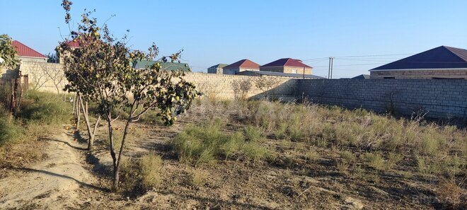 Satılır  torpaq 10 sot, Mehdiabad q., photo 3 from 6