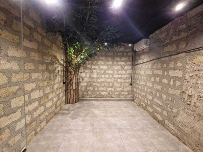 Сдаётся  объект 412 м², м. Сахил, photo 11 from 24