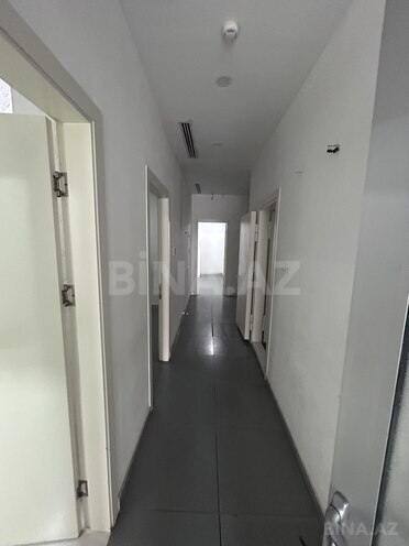Сдаётся  объект 180 м², м. Низами, photo 7 from 15