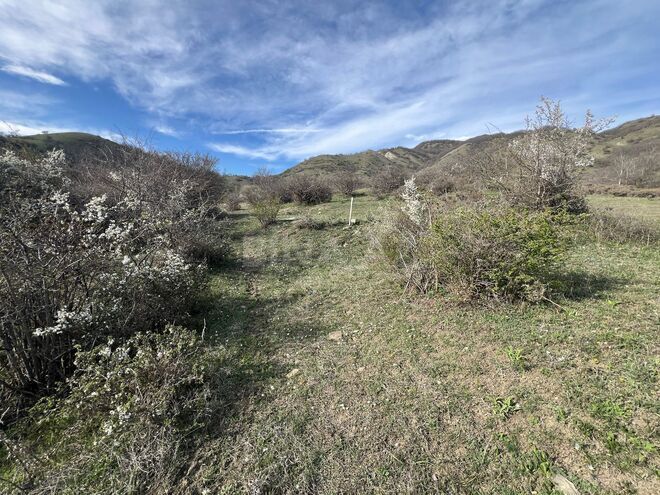 Satılır  torpaq 12 sot, photo 5 from 9