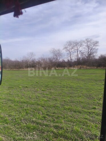 Продаётся  участок 277 сот, photo 3 from 4