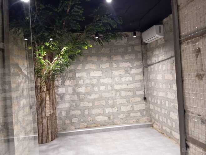 Сдаётся  объект 412 м², м. Сахил, photo 4 from 7