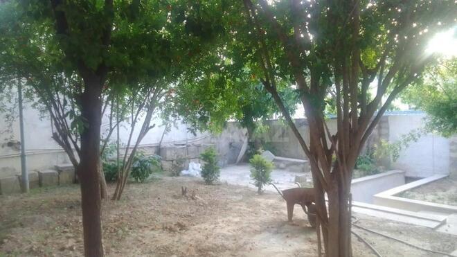 Сдаётся 2-комн. дом/дача 60 м², м. Мемар Аджеми, photo 16 from 17