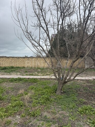 Продаётся  участок 3 сот, пос. Новханы, photo 6 from 8