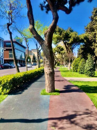 Satılır 3 otaqlı köhnə tikili 83 m², Gənclik m., photo 25 from 27