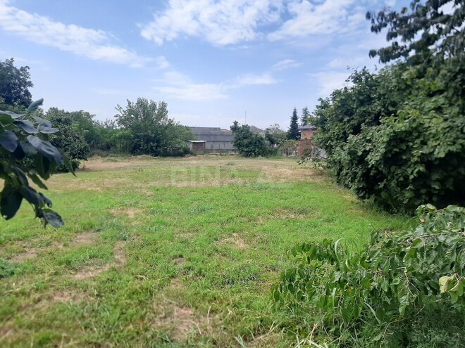 Satılır  torpaq 5 sot, photo 3 from 6