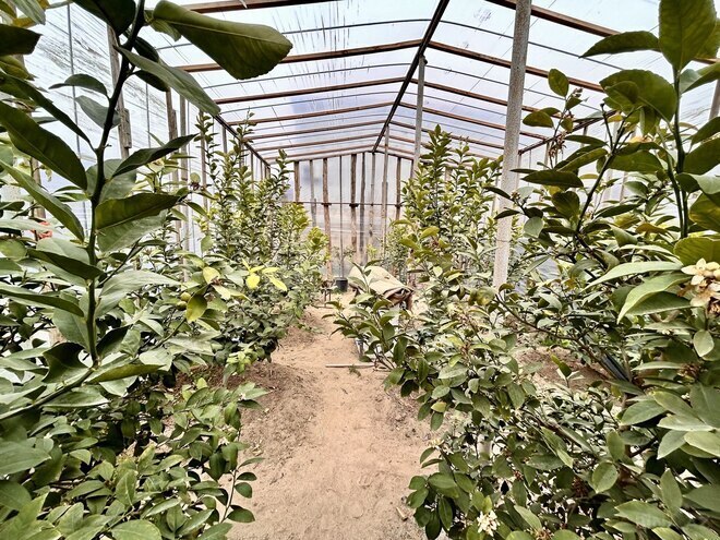 Продаётся 5-комн. дом/дача 200 м², пос. Кюрдаханы, photo 30 from 32