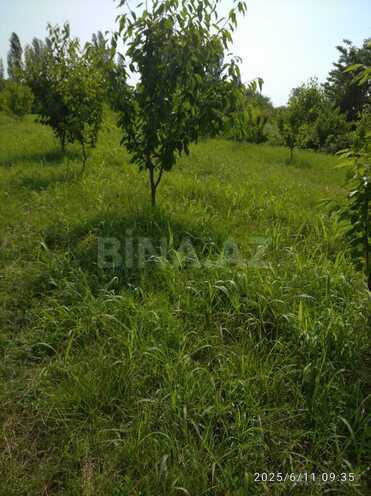 Satılır  torpaq 241 sot, Xaçmaz r., photo 7 from 9