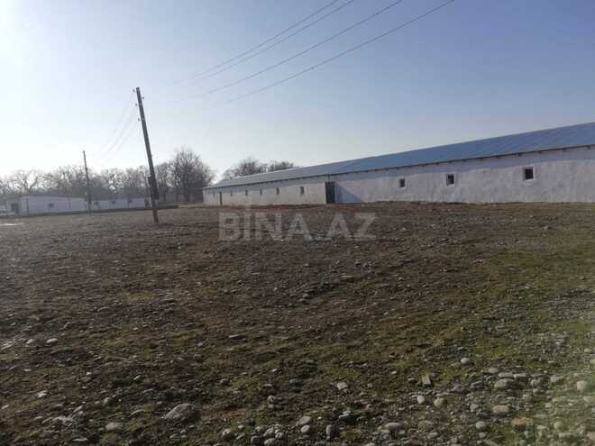 Продаётся  объект 4 200 м², photo 3 from 17