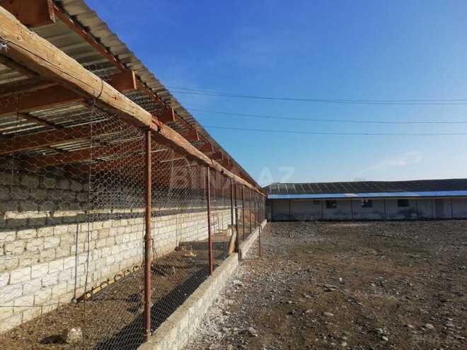 Продаётся  объект 4 200 м², photo 6 from 17