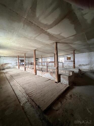 Продаётся  объект 4 200 м², photo 14 from 17