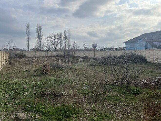 Satılır  torpaq 11.5 sot, Xaçmaz r., photo 4 from 8