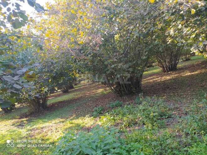 Продаётся  участок 150 сот, photo 3 from 6