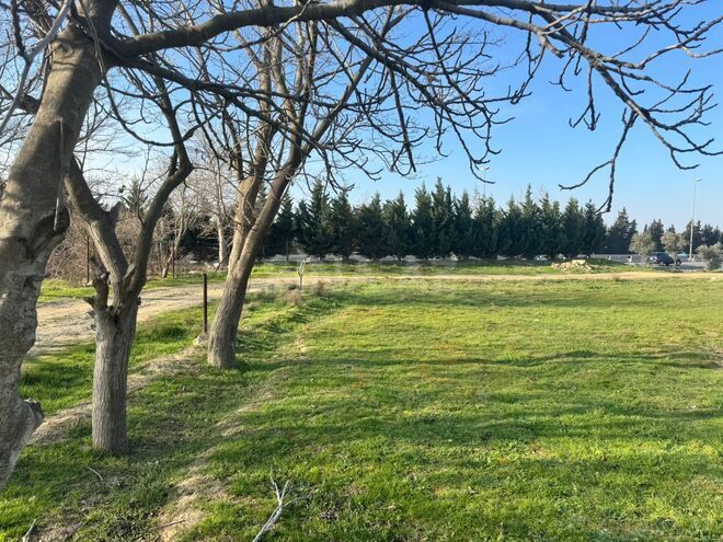 Satılır  torpaq 100 sot, Avtovağzal m., photo 5 from 8