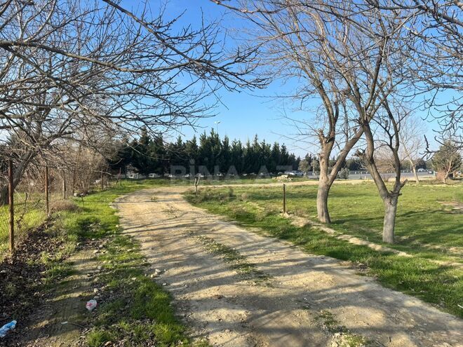 Satılır  torpaq 100 sot, Avtovağzal m., photo 6 from 8