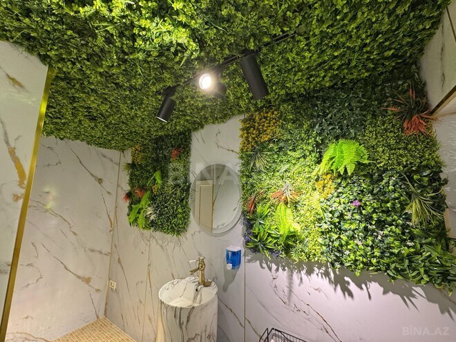 Сдаётся  объект 220 м², м. Шах Исмаил Хатаи, photo 10 from 18